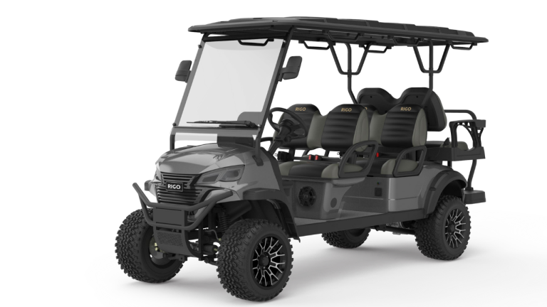 RIGO серый электрический гольф-кар L4+2 багги