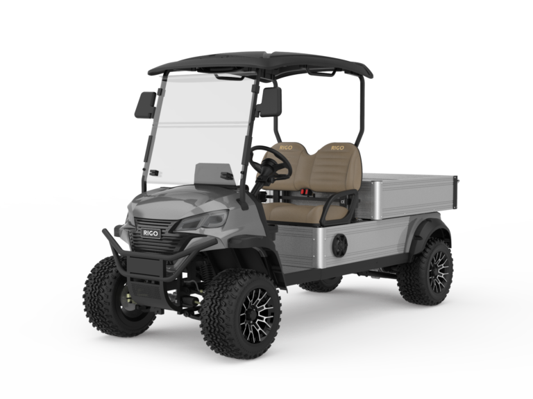 Гольф-кар RIGO серый электрический C500 багги