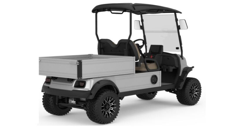 Гольф-кар RIGO серый электрический C500 багги