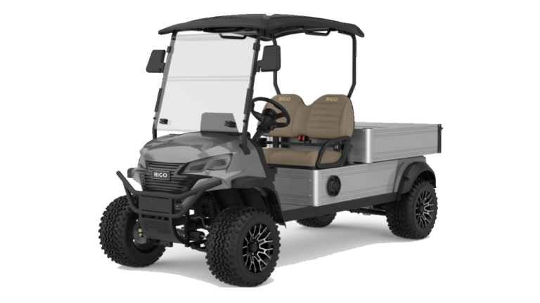 RIGO gri elektrikli C500 buggy golf arabası