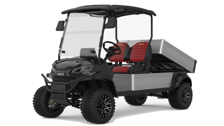 RIGO siyah elektrikli C500 buggy golf arabası