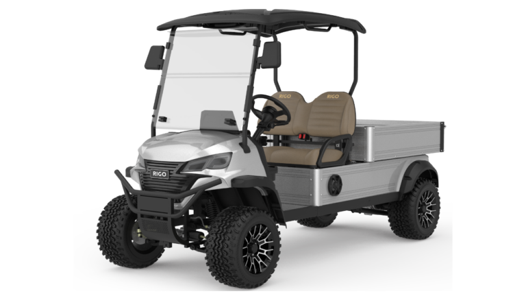 Электрический гольф-кар RIGO C500 багги цвета серый металлик