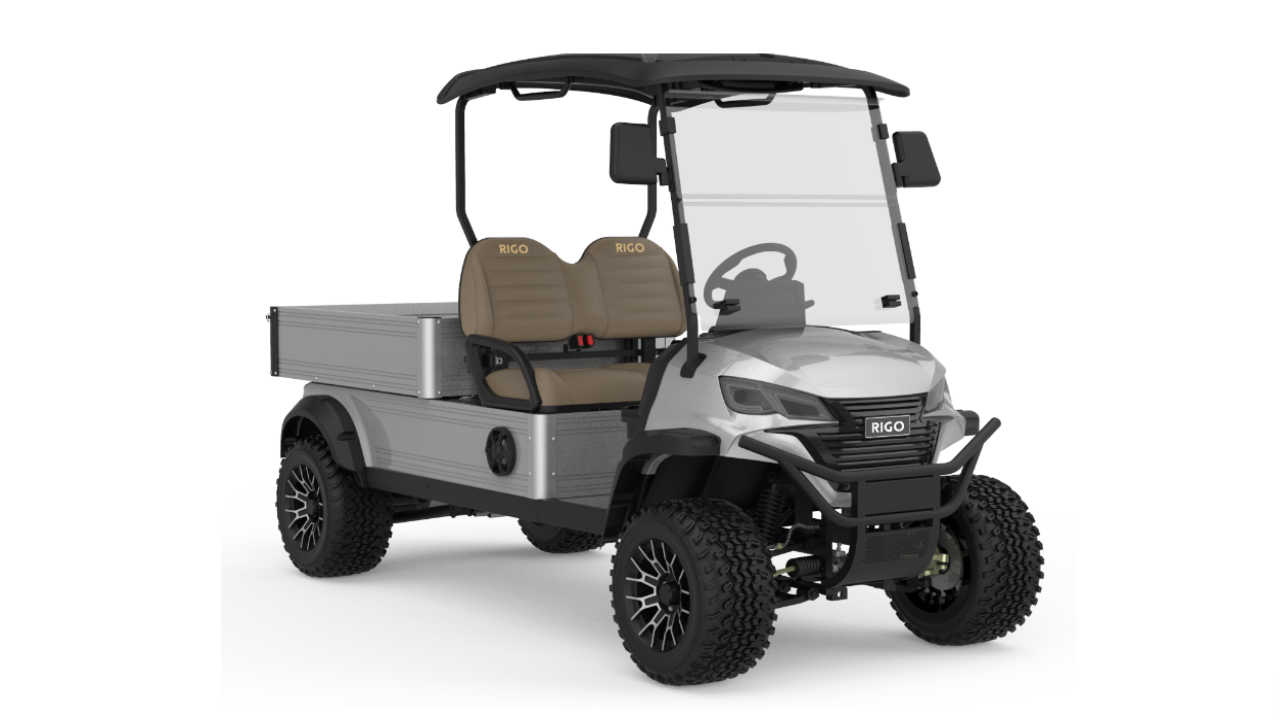 Электрический гольф-кар RIGO C500 багги цвета серый металлик