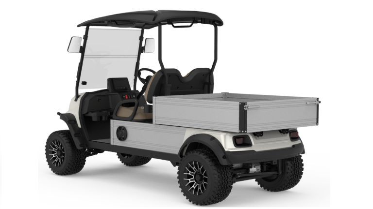 Гольф-кар RIGO белый электрический C500 багги