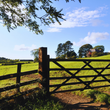 Tarım işletmeleri için elektrikli taşıma aracı RIGO