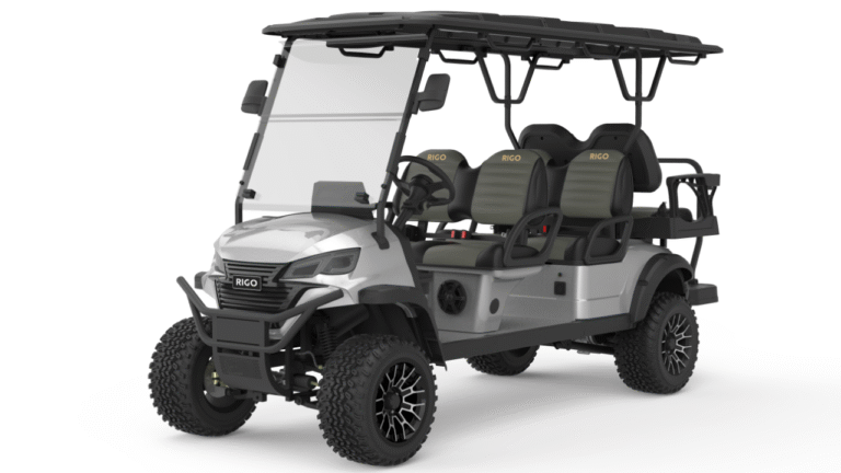 Гольф-кар RIGO серый металлик электрический L4+2 багги