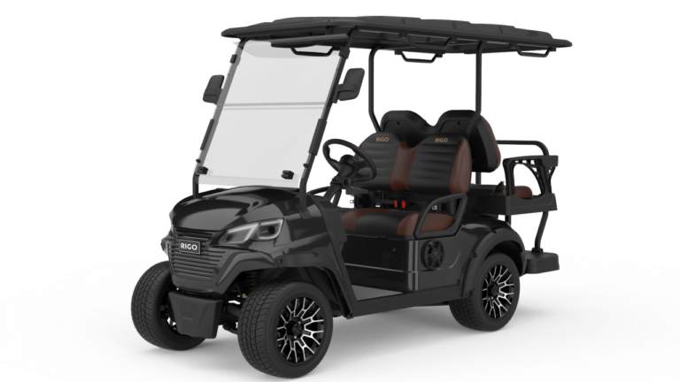 RIGO C2+2 siyah mavi elektrikli golf arabası 4 kişilik buggy ön