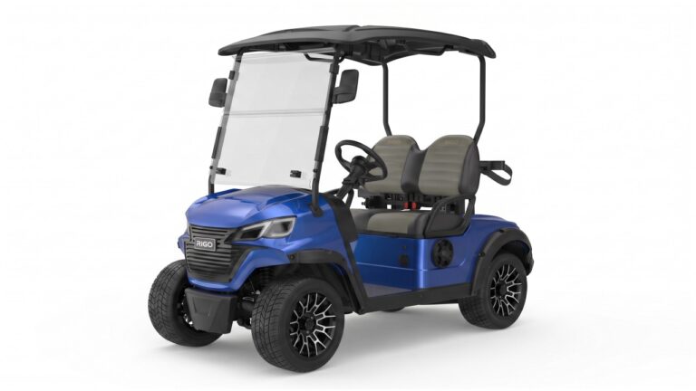 RIGO G2 Mavi elektrikli golf arabası 2 kişilik buggy