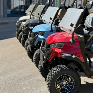RIGO-Otel-Buggy