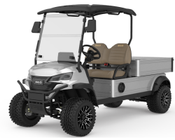 RIGO metalik gri elektrikli C500 buggy golf arabası