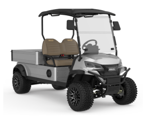RIGO metalik-gri elektrikli C500 buggy golf arabası