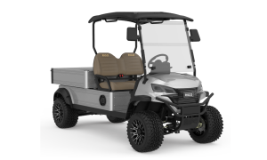 RIGO metalik-gri elektrikli C500 buggy golf arabası