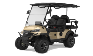 RIGO шампань электрический L2+2 багги гольф-карт