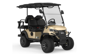RIGO şampanya elektrikli L2+2 buggy golf arabası