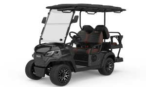 RIGO C2+2 siyah mavi elektrikli golf arabası 4 kişilik buggy ön