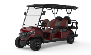 RIGO C4+2 bordo elektrikli golf arabası 6 kişilik buggy ön