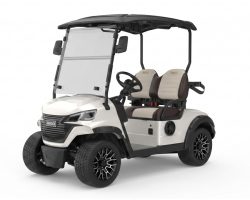 RIGO G2 Beyaz elektrikli golf arabası 2 kişilik buggy