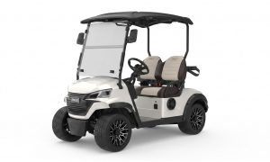 RIGO G2 Beyaz elektrikli golf arabası 2 kişilik buggy