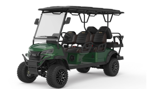 RIGO yeşil elektrikli L4+2 buggy golf arabası