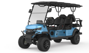 RIGO açık mavi elektrikli L4+2 buggy golf arabası